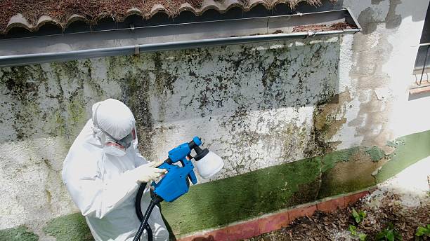 Top rated local Commercial Mold Remediation specialists in Linkwood, MD
